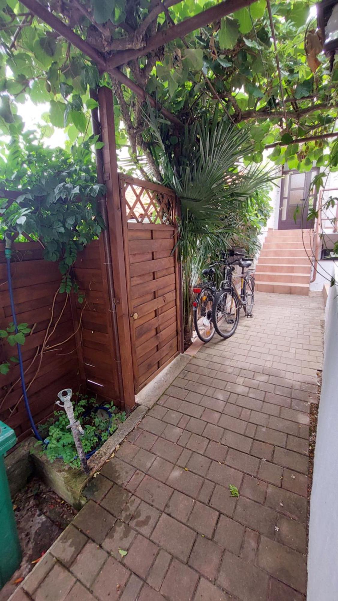 Apartment Drenovica PUY 외부 사진