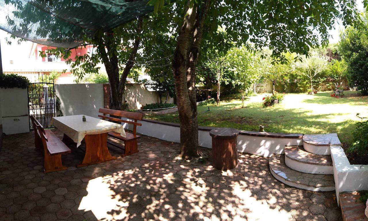Apartment Drenovica PUY 외부 사진